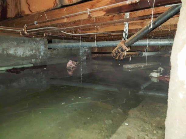 Best Water damage restoration near me  in Loch Sheldrake, NY