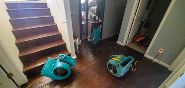 Best Water damage restoration near me  in Loch Sheldrake, NY