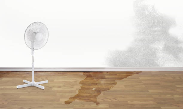 Best Ceiling water damage repair  in Loch Sheldrake, NY
