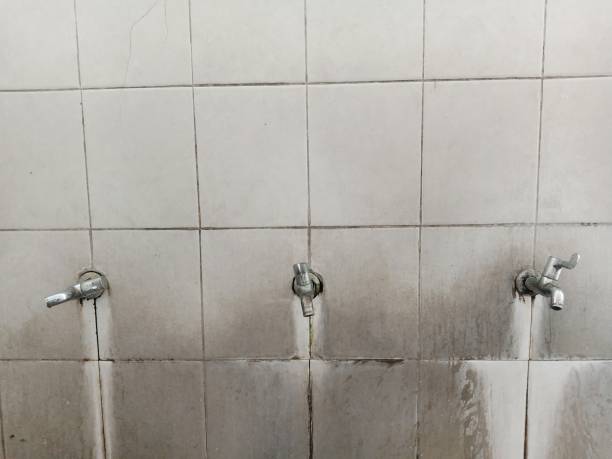 Best Fire Damage Restoration  in Loch Sheldrake, NY